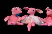 The Three Little Pigs in Ireland