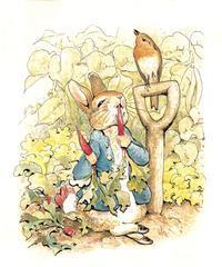 HAPPY BIRTHDAY PETER RABBIT 