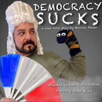 Democracy Sucks by Monica Bauer in New Jersey