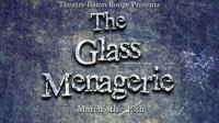The Glass Menagerie show poster