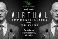 Virtual Impossibilities show poster