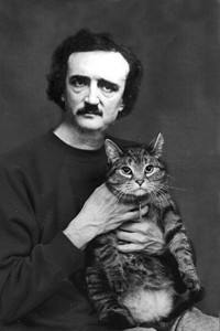 Edgar Allan Poe is Dead and So Is My Cat show poster