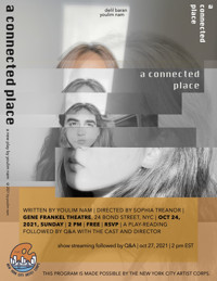 a connected place show poster