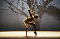 Harbourfront Centre presents Deborah Colker Dance Company’s Dog Without Feathers