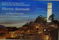 Electric Serenade show poster