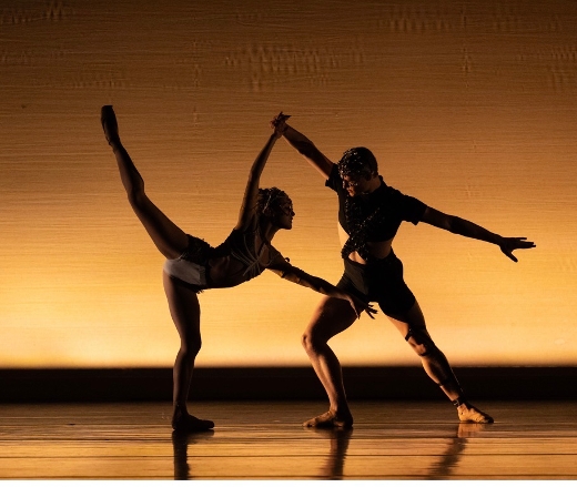 Dance Canvas 2026 Performance Series show poster