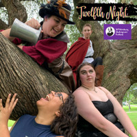 Twelfth Night in Tampa Logo