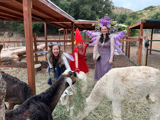 A Faery Hunt and Their Animal Friends