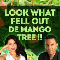 Look What Fell Out De Mango Tree