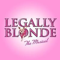 Legally Blonde The Musical 