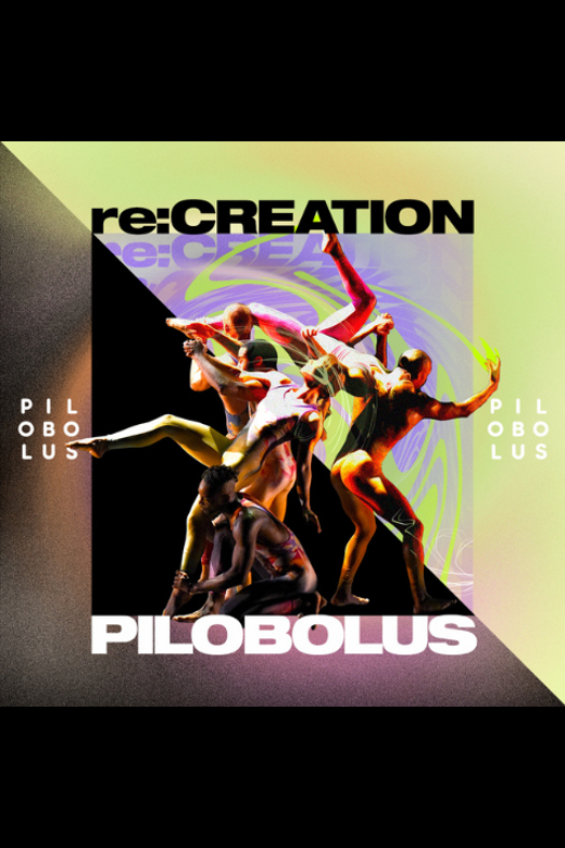 Pilobolus re:CREATION in St. Louis