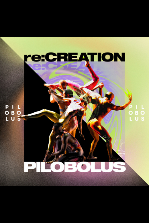 Pilobolus re:CREATION