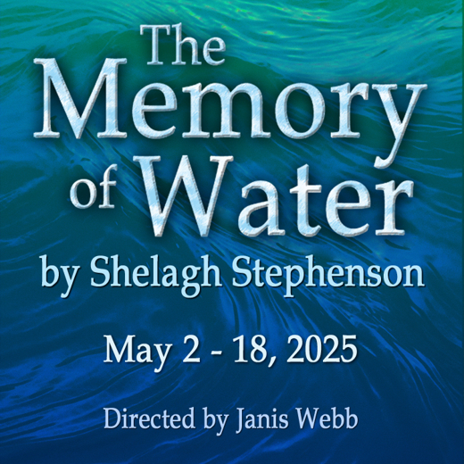 THE MEMORY OF WATER  by Shelagh Stephenson show poster