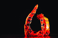 MOMIX show poster