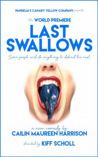 Last Swallows show poster