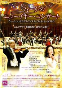 NEW YEAR CONCERT 2014
