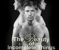 The Beauty Of Incomplete Things show poster