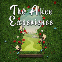 The Alice Experience