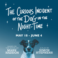 The Curious Incident of the Dog in the Night-Time in New Orleans
