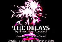 The Delays show poster