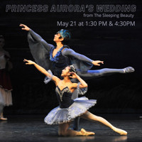 New Jersey Ballet: Princess Aurora's Wedding