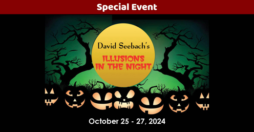 David Seebach: Illusions in the Night show poster