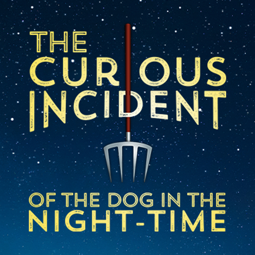 The Curious Incident of the Dog in the Night-Time