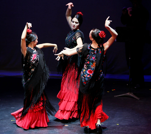Flamenco Rosario