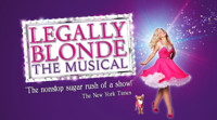 Legally Blonde: The Musical in Dallas