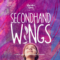 Secondhand Wings