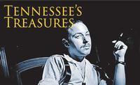 Tennessee's Treasures show poster