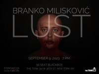 Branko Milisković - LUST show poster