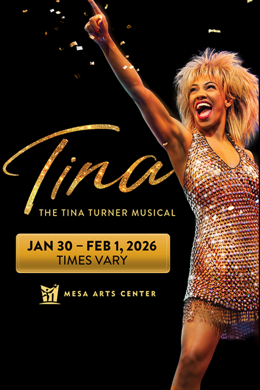 TINA - The Tina Turner Musical (Touring)