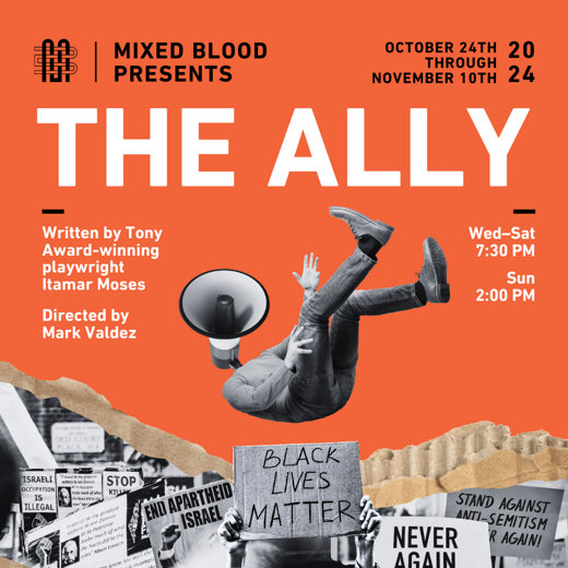 The Ally show poster