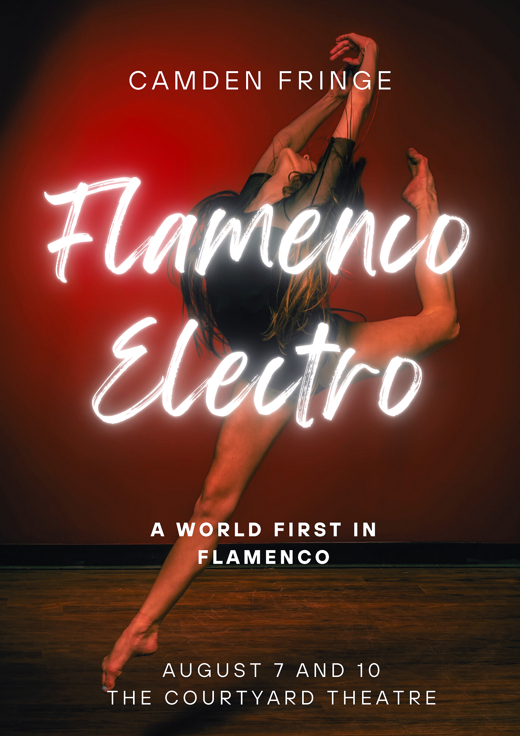 Flamenco Electro show poster