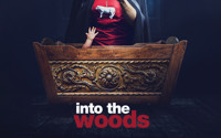 Into the Woods show poster