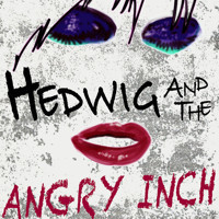 Hedwig and the Angry Inch in Chicago
