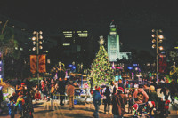 The Los Angeles County Tree Lighting Ceremony