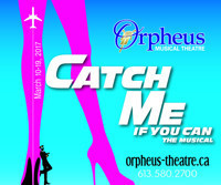 Orpheus Presents Catch Me If You Can The Musical