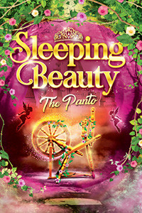Sleeping Beauty: The Panto show poster