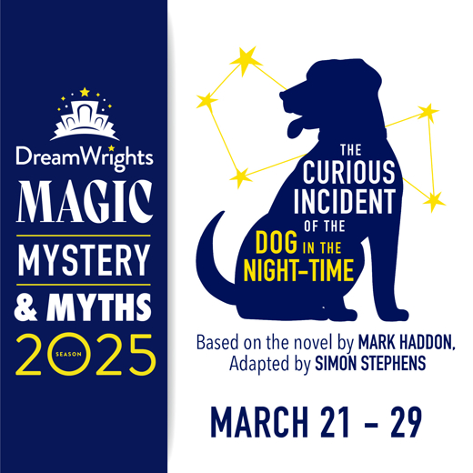 The Curious Incident of the Dog in the Night-Time show poster