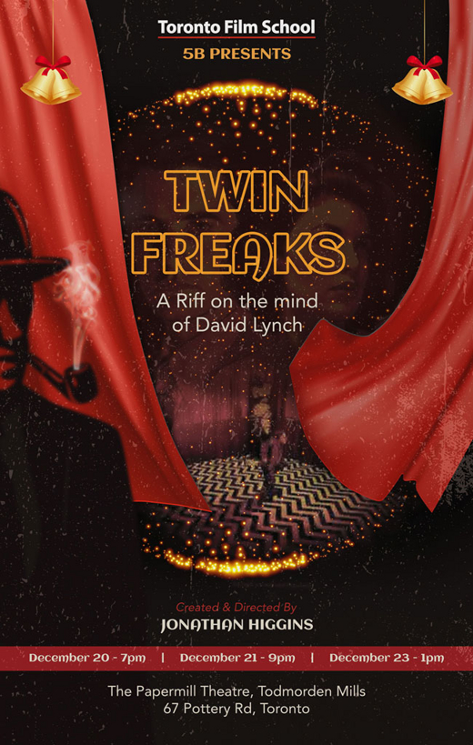 Twin Freaks show poster