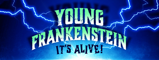 Young Frankenstein in Chicago