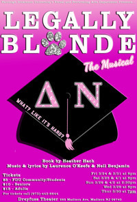 Legally Blonde the Musical 