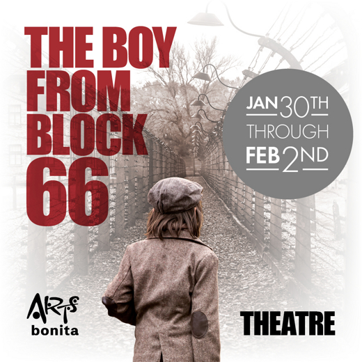 Boy from the Block 66 show poster