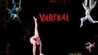 Cirque Du Soleil - Varekai show poster