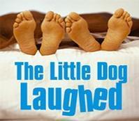 The Little Dog Laughed show poster