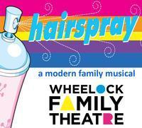 HAIRSPRAY show poster