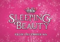 Sleeping Beauty show poster