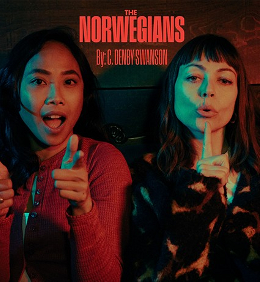 The Norwegians show poster